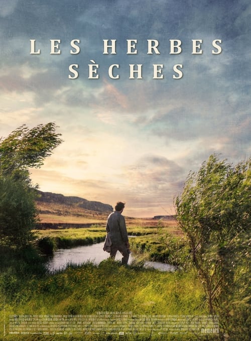 Kuru Otlar Üstüne = Les herbes sèches - Ceylan, Nuri Bilge (1959-....)